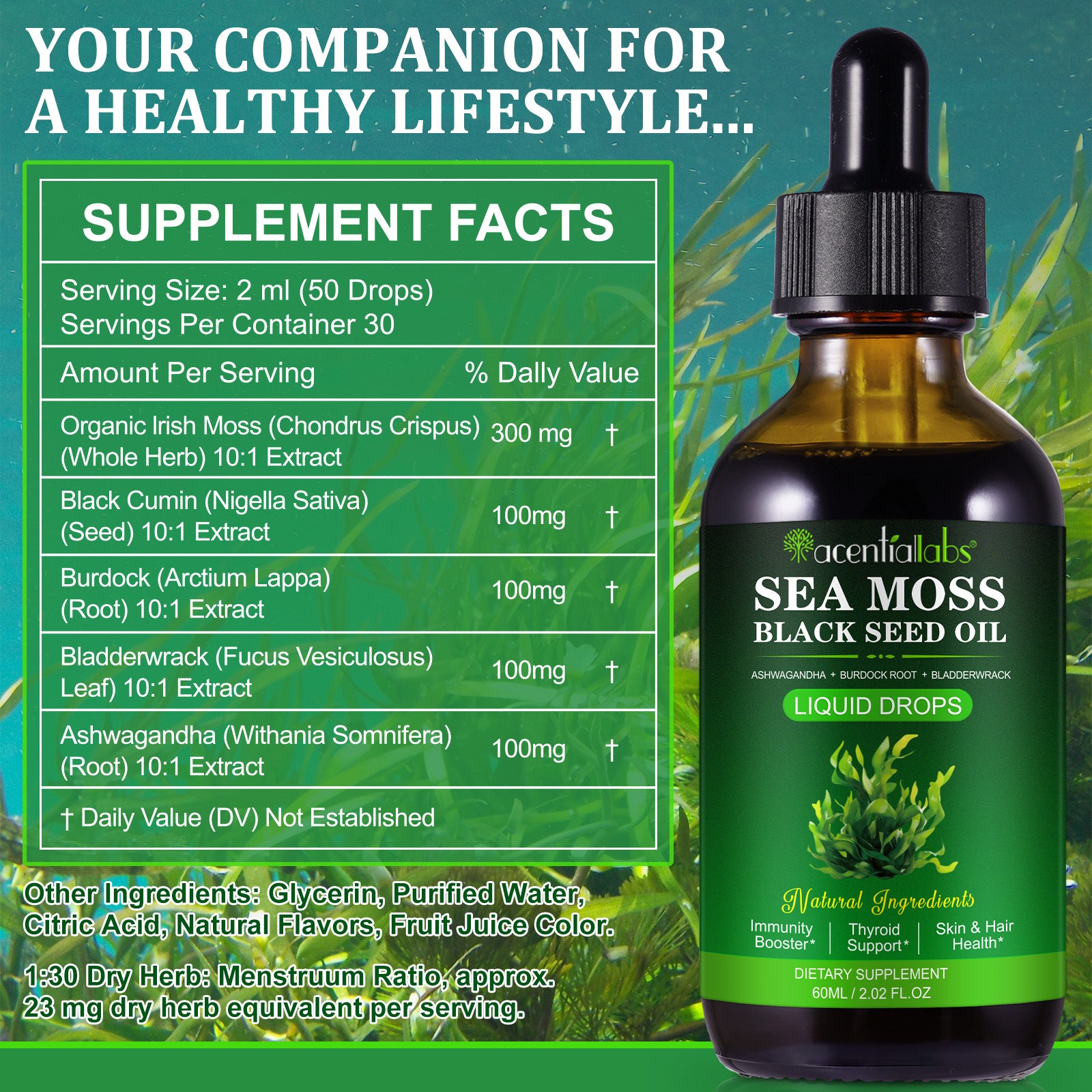 acentiallabs SEA MOSS BLACK SEED OIL,A SHWAGANDHA BURDOCK ROOT BLADDERWRACK,LIQUID DROPS,60ML Liquid Drops