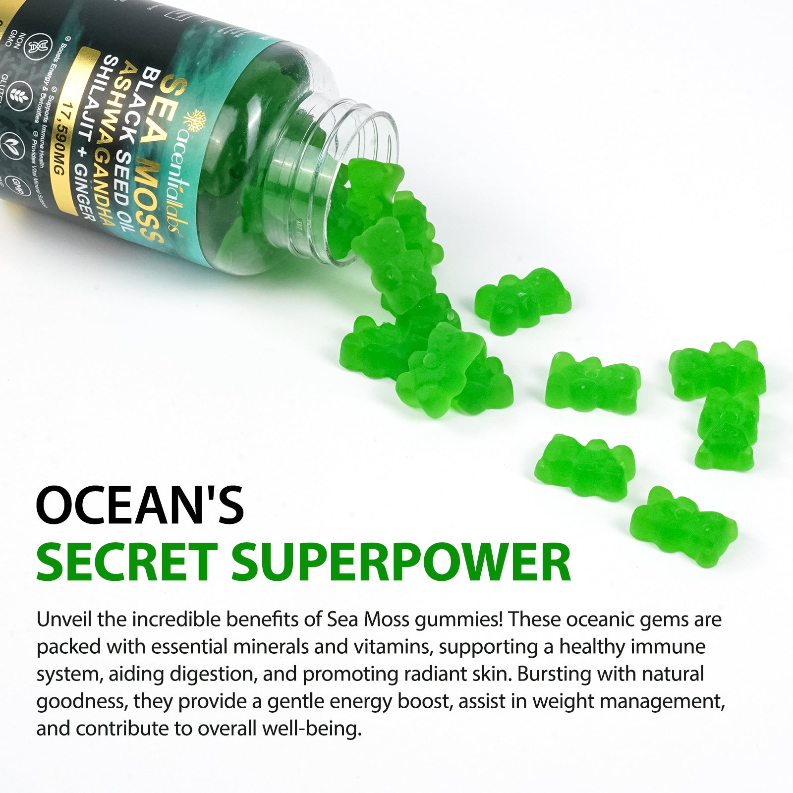 acentiallabs SEA MOSS BLACK SEED OIL ASHWAGANDHA SHILAJIT+ GINGER,17590MG,60 GUMMIES Bottled Gummies