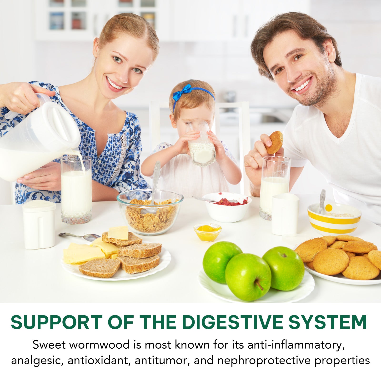 acentiallabs SWEET WORMWOOD Dried Herb Tincture  6OML Liquid Drops