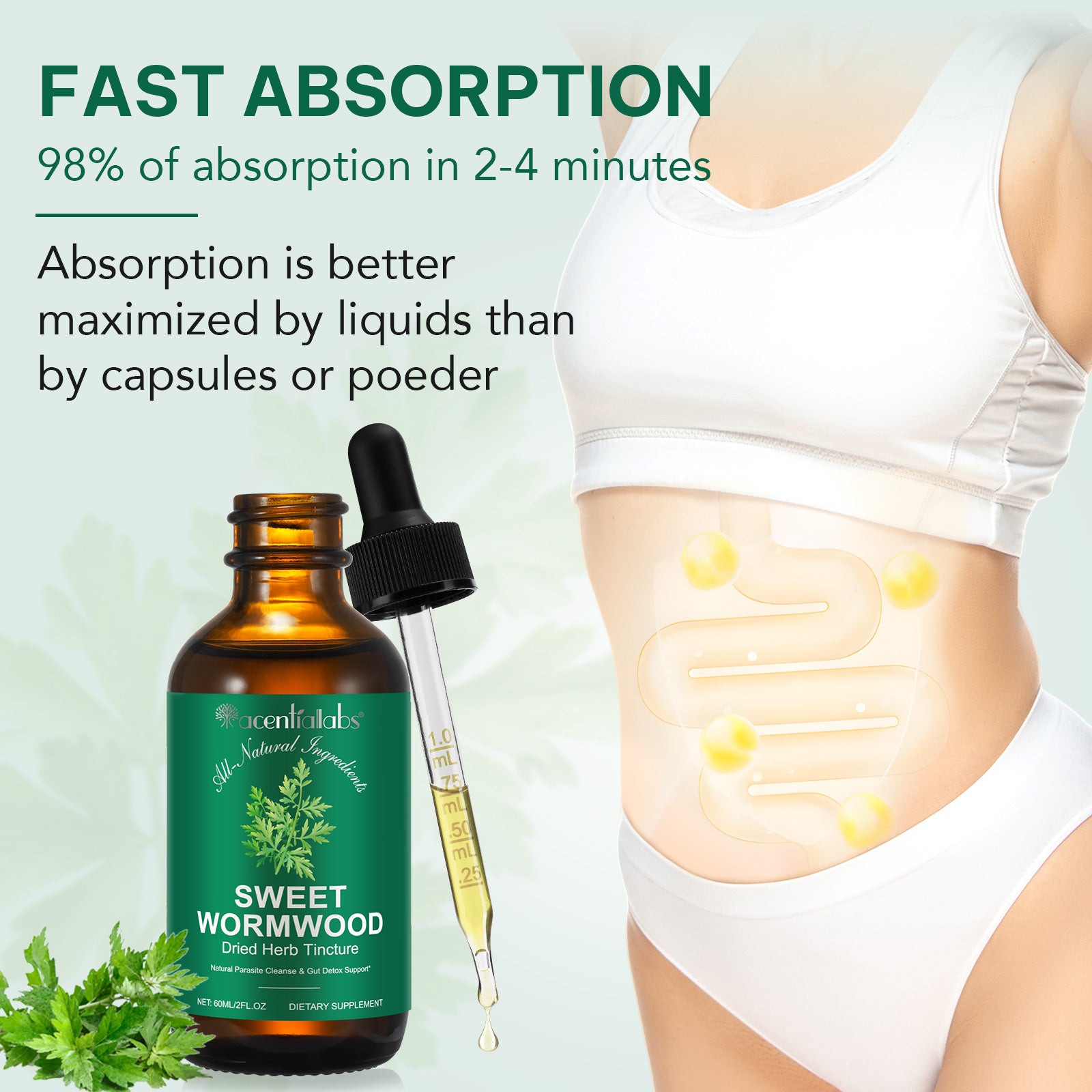 acentiallabs SWEET WORMWOOD Dried Herb Tincture  6OML Liquid Drops