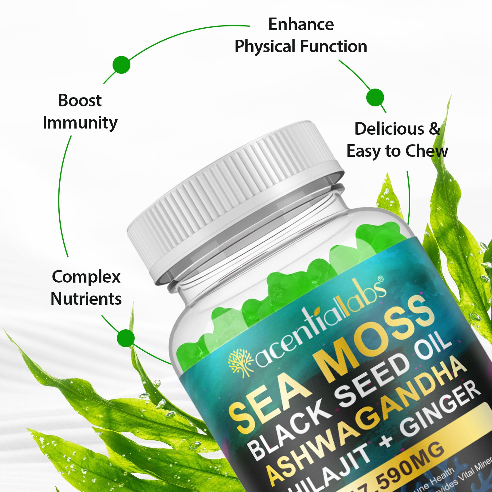 acentiallabs SEA MOSS BLACK SEED OIL ASHWAGANDHA SHILAJIT+ GINGER,17590MG,60 GUMMIES Bottled Gummies