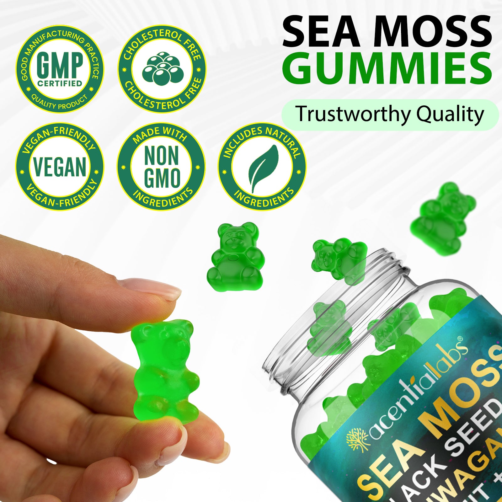 acentiallabs SEA MOSS BLACK SEED OIL ASHWAGANDHA SHILAJIT+ GINGER,17590MG,60 GUMMIES Bottled Gummies
